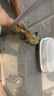 多特思（DOTUS）主食猫条添福小金条软罐头奶糕成幼猫全价15g*40支湿粮主食包猫饭 实拍图