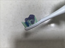 高露洁（Colgate）【孙颖莎同款】色修美白牙膏90g紫色去牙渍清新口气新老包装混发 实拍图