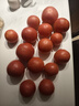 新鲜沙瓤大番茄生吃西红柿减肥早餐即食新鲜蔬菜生鲜单果＞100g 囤货装 5斤 净重 实拍图