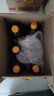鲁花自然鲜系列 酱香酱油【 0添加防腐剂 特级生抽】1.28L 调味品 实拍图