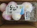 小汤山 北京 紫洋葱 450g 基地直供新鲜蔬菜 实拍图