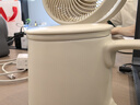 一品仟堂轻奢马克杯子办公室茶水分离杯泡茶杯水杯带盖男女个人专用喝茶杯 实拍图