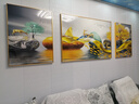 Sixpoetry 客厅装饰画现代简约沙发背景墙壁画轻奢三联晶瓷画大气高档挂画 福禄双收（铝合金外框） 晶瓷画左右60*80+中间120*80亮面 实拍图