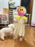 G.duck小黄鸭儿童夏季洋气连衣裙女童碎花裙新款夏装小女孩公主裙子 黄色带包包 110 cm 实拍图