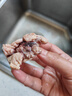 羊门宴谷饲黄牛 原切牛排骨 净重4斤 国产牛肉 牛肋排 清真 源头直发 实拍图