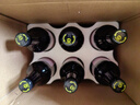 泰山啤酒（TAISHAN） 10度原浆啤酒百香果精酿果啤450mL*6瓶 源头直发 实拍图