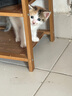 汪野君养猫新手全套用品猫砂盆套装喂食喂水器绒布猫窝猫玩具组合十件套 实拍图