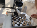 元萝卜SenseRobotAI下棋机器人国际象棋 对弈 习题 陪练 涨棋 AI讲题 人机互动【国际象棋】 实拍图