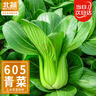 北蔬 小青菜种子苗上海青梗菜油菜种籽 速生605上海青种子50g约2万粒 实拍图