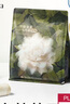 babycare【 100%灭菌】山茶花一次性内裤月子大码日抛出差旅行15条XXL码 实拍图