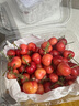 天润（TERUN） 新疆0添加糖0代糖无糖风味发酵乳低温酸奶 家庭装桶酸 1kg*1桶 实拍图