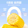 京鲜生东北水果玉米3.6斤 8根单根220g东北甜玉米棒开袋即食 源头直发 实拍图
