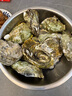 贝司令（BEISILING）【鲜活】乳山生态生蚝牡蛎贝类烧烤源头直发3XL净重4斤 海鲜水产 实拍图