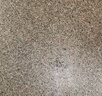 樱花(SAKURA)油漆笔金色2.0mm 签字笔记号笔马克笔高光笔 商务明星签名签到笔防水不掉色描金补漆手绘涂鸦 实拍图