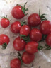 正宗海南千禧小番茄圣女果5斤新鲜水果小西红柿水果番茄w顺丰DD 3斤精选【顺丰/JD快递】净2.7斤 实拍图