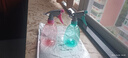 喷壶浇花浇水喷雾器气压式喷水壶家用园艺养花500ml 南瓜喷壶透粉+透蓝 实拍图