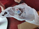 京鲁远洋深海鳕鱼排310g 早餐网红儿童无刺半成品预制菜空气炸锅 实拍图