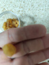 干桂圆肉无核500g泡水特级肉干龙眼桂圆干灯笼新高州散装新货桂圆 桂圆肉【1罐】共150克 优质 实拍图