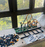 乐高（LEGO） 积木拼装哈利波特76449 咬人的妖怪书男孩女孩儿童玩具生日礼物  实拍图