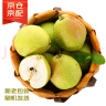 京鲜生 新疆库尔勒香梨10斤 一级 单果100-120g 生鲜水果 实拍图