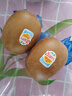 佳沛（zespri）新西兰  阳光金奇异果10粒礼盒巨大果单果约144-175g 水果 猕猴桃 实拍图