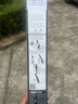 博世（BOSCH）雨刷器雨刮器刮片神翼进口26/19(第四代奥迪A3 2020-需核实接口) 实拍图