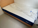 蓝盒子Z1经典爆款记忆棉弹簧床垫五星酒店双人床垫家用【线下同款】 Z1 【软硬适中】 1.2*2米 实拍图