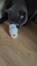 红狗 猫多维片200片 猫咪维生素猫咪宠物维生素猫维生素b猫藓 实拍图