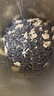 乐品乐茶茉莉飘雪茉莉花茶茶叶特级碧螺春横县花茶新茶浓香型春茶绿茶250g 实拍图