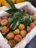 驰振广东桂味荔枝新鲜增城荔枝清甜多汁当季孕妇水果节日礼盒装 新鲜荔枝礼盒装 3斤2.5斤 【恒温箱+冰】 实拍图