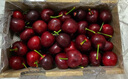 京觅大连美早樱桃车厘子 3J级净重1.8斤 单果12-15g水果礼盒源头直发 实拍图