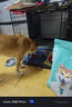 凯锐思 柴犬狗粮 专用秋田犬狗粮幼犬成犬田园犬专用粮 【羊奶护胃20斤】4斤*5袋 实拍图