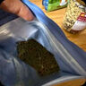 洁西（JESSIE）牧草菁华天竺鼠粮2袋装荷兰猪主粮饲料替代提摩西草苜蓿草粮1.6kg 实拍图