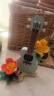 乐高（LEGO）积木拼装31156 热带风尤克里里儿童女孩女生玩具六一儿童节礼物 实拍图
