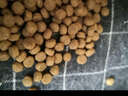 力狼猫粮 成猫幼猫通用型天然粮 【鲜肉升级-尝鲜】高肉美毛2kg 实拍图