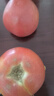 展艺 糯米肉肠500g*2袋 大肉肠火山石烤肠脆皮香肠火腿肠广式热狗肠  实拍图