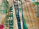 十月稻田 黄糯玉米 3.52斤(220g*8根) 东北甜黏玉米棒 早餐苞米 真空包装 实拍图
