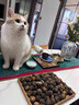 皇家成猫猫粮 营养均衡 F32 通用粮 1-7岁 4.5KG 实拍图