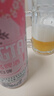 青岛啤酒（TsingTao）爆款组合500ml*12听 白啤4听+福禧4听+皮尔森4听 实拍图