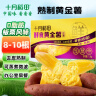 十月稻田 鲜食黄金薯 3斤 玛莎莉红薯 番薯 地瓜 板栗红薯 熟制即食 早餐 实拍图