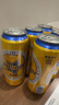 青岛啤酒（TsingTao）皮尔森拉格啤酒 500ml*12听大罐整箱装 端午节送礼 实拍图