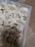 湾仔码头荠菜猪肉水饺1320g66只早餐食品速食面点生鲜速冻饺子 实拍图