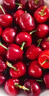 山东红灯樱桃超甜产地包邮应季采摘孕妇新鲜水果红樱桃当季热卖 2.8斤(净重) 红灯大樱桃 大果(26-28mm) 晒单实拍图