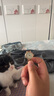 星空银粉面手表 ins气质商务女士磨砂皮带简约石英表 粉色 实拍图