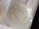 悦味纪 原味烫面春饼1.05kg 30张 烧烤卷饼薄饼 手抓饼 早餐半成品 速食 实拍图