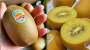 佳沛（zespri）新西兰  阳光金奇异果10粒礼盒巨大果单果约144-175g 水果 猕猴桃 实拍图