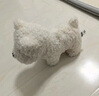babycare电动毛绒玩具娃娃玩偶生日礼物西高地【帽子和三角巾】 实拍图