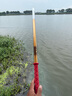 达亿瓦（DAIWA）一击 轻量鲤鱼鲫鱼草鱼罗非 进口鱼竿手杆 轻硬挺 休闲台钓 一击T 72.K（大物） 实拍图