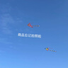 收纳博士 真空压缩收纳袋衣服棉被抽气袋家用密封收纳 电泵13件套 实拍图