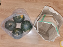 自然搭档 正宗贝贝南瓜 粉面香甜小南瓜 新鲜蔬菜香甜软糯产地直发 净重 4.5斤 （3-8个） 实拍图